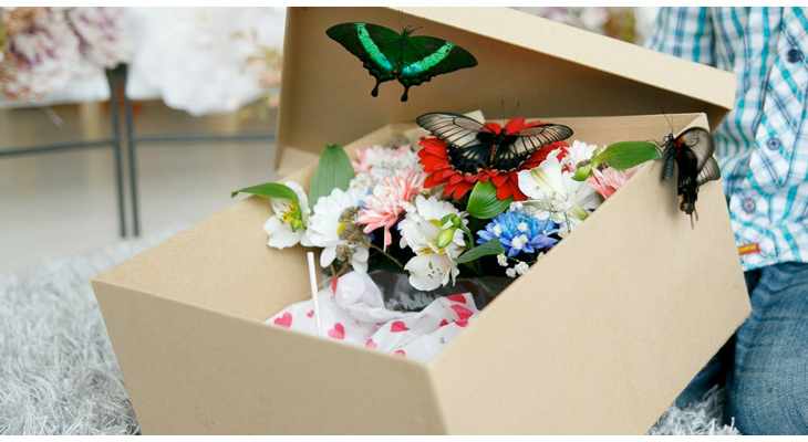 Бабочки в подарочной коробке