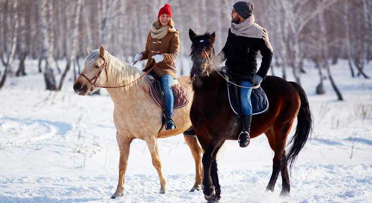Зимняя конная прогулка